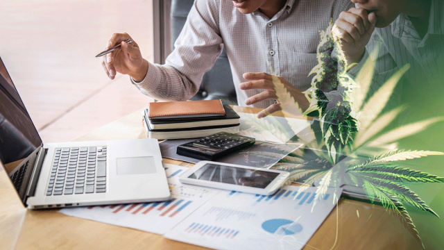 July 2023's Top Cannabis REITs: Dividend Powerhouses for Savvy Investors