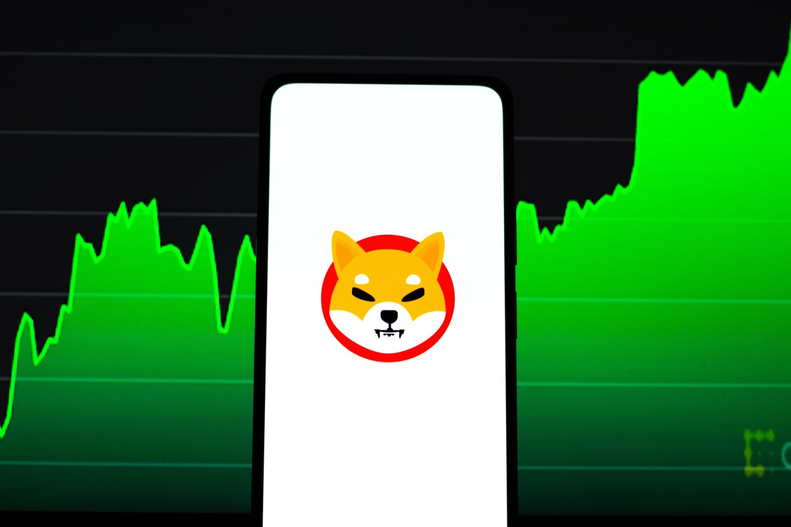 July May Be Month Shiba Inu (SHIB) Holders Waited For, Price History Suggests