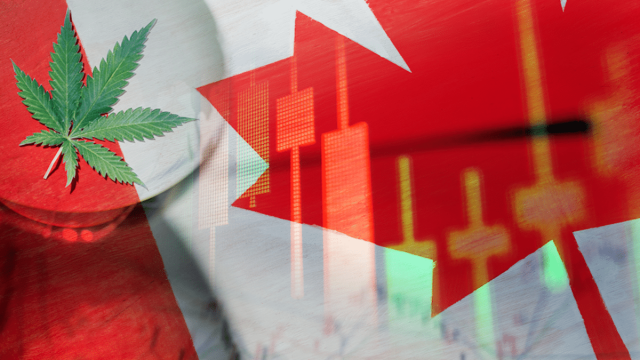 June 2024: Canadian Cannabis Stocks with High Potential