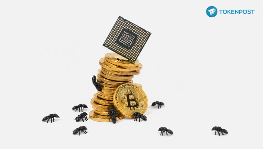 Korean Retail Traders Shift From Bitcoin to Leveraged Stock Bets as Margin Risk Builds