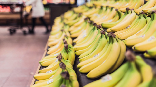 Kroger and Macy's: The Compounder vs the Turnaround