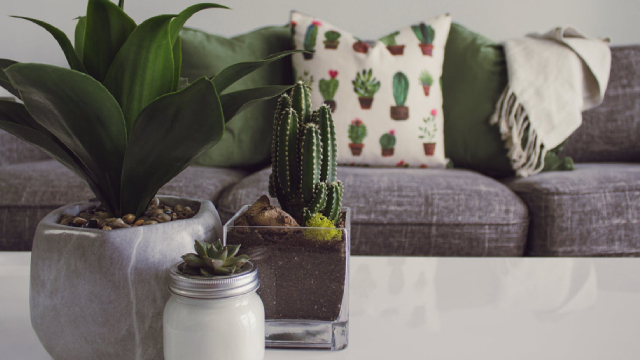 Legget & Platt (LEG) Surpasses Q2 Earnings Estimates