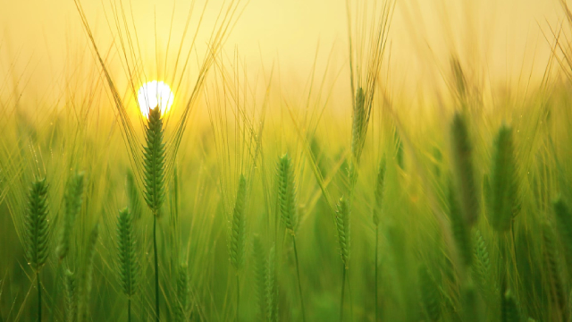 Lifeway Foods: A Special Situation Becomes A Growth Story (Rating Upgrade)