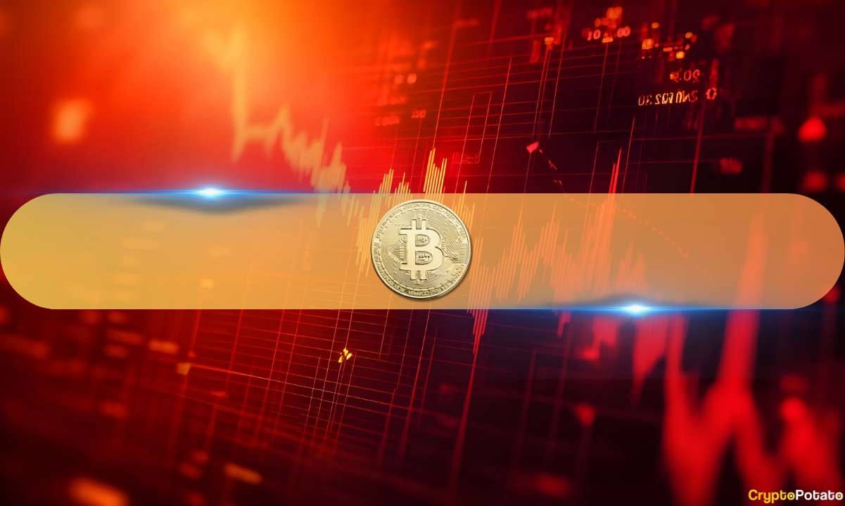 Liquidations Hit $480M In a Hour as Bitcoin Plunges Below $81K