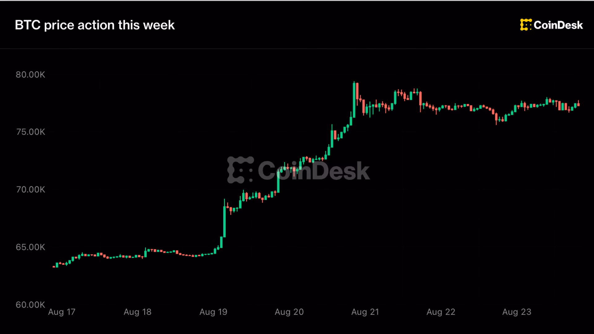 Live updates: Bitcoin holds $77,000 as XRP, Zcash pull back after a big weekly rally