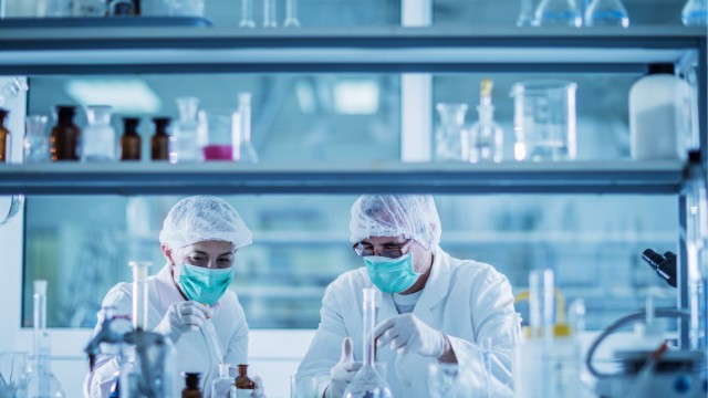 Lobe Sciences appoints management strategy expert to board