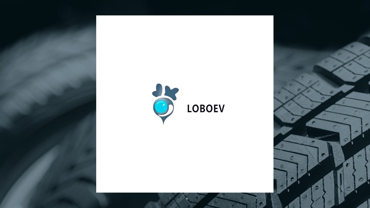 Lobo EV Technologies (NASDAQ:LOBO) Shares Down 3% – Here’s Why