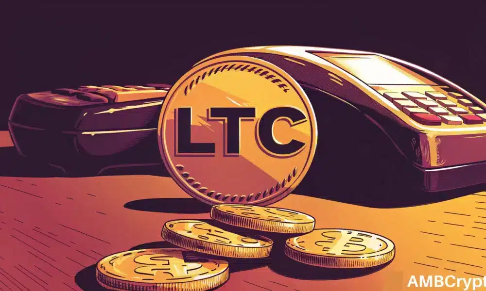 LTC hits multi-month lows, yet Litecoin usage keeps climbing – Explained