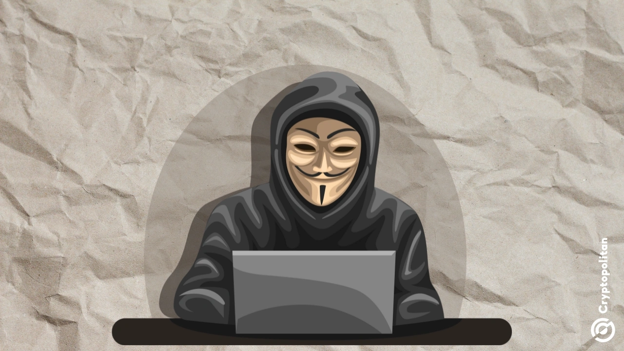 Article image for Magickbase and Cyvers sound the alarm about Nervos breach