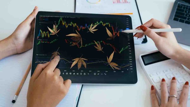 Marijuana Penny Stocks with Potential to Watch This Week