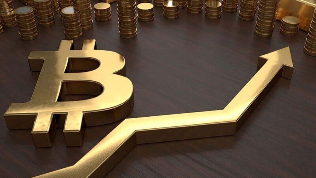 Microtransactions Now Account for 80% of Bitcoin Network Activity