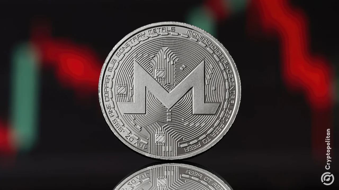 Monero activity stays above pre-2022 levels despite delistings and tighter liquidity