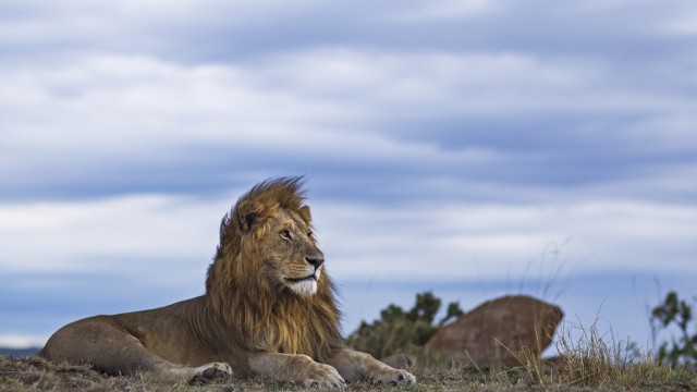 MoneyLion: Additional Upside Likely After 5.8X Surge