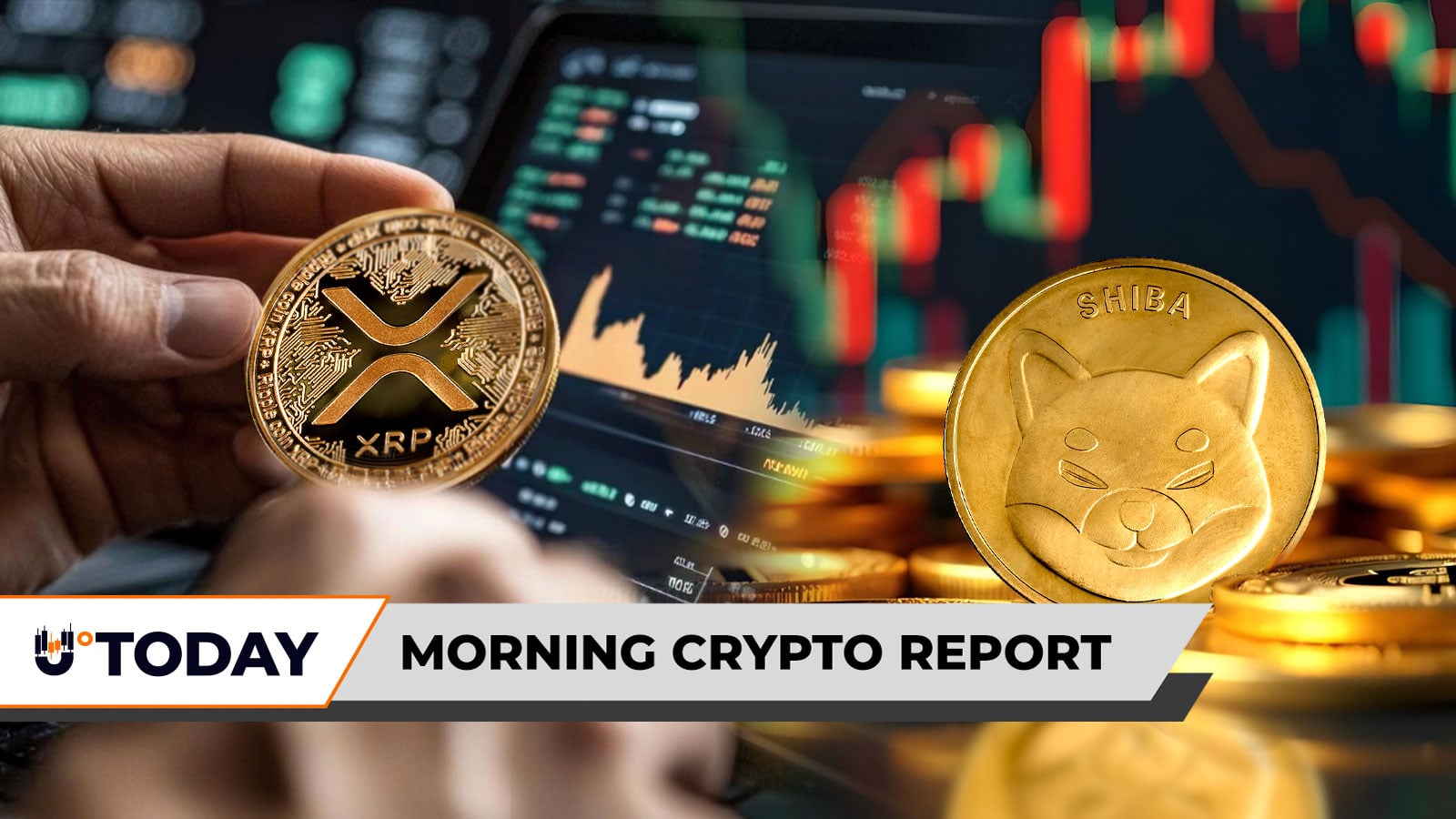 Article image for Morning Crypto Report: Ex-Ripple CTO Reveals Unknown XRP Story From 2013, Shiba Inu (SHIB) Rockets 30% in $12 Billion Meme Coin Comeback, Legendary Trader Suddenly Becomes Bitcoin Cash Bull