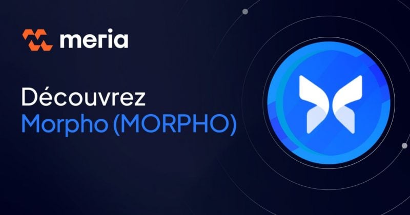Morpho Midnight launches fixed-rate, fixed-term credit markets on Base