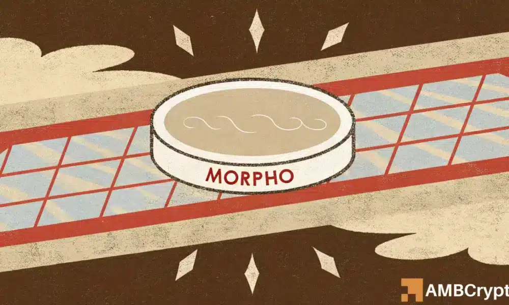 Morpho price rallies: But THIS hurdle could cap its next move