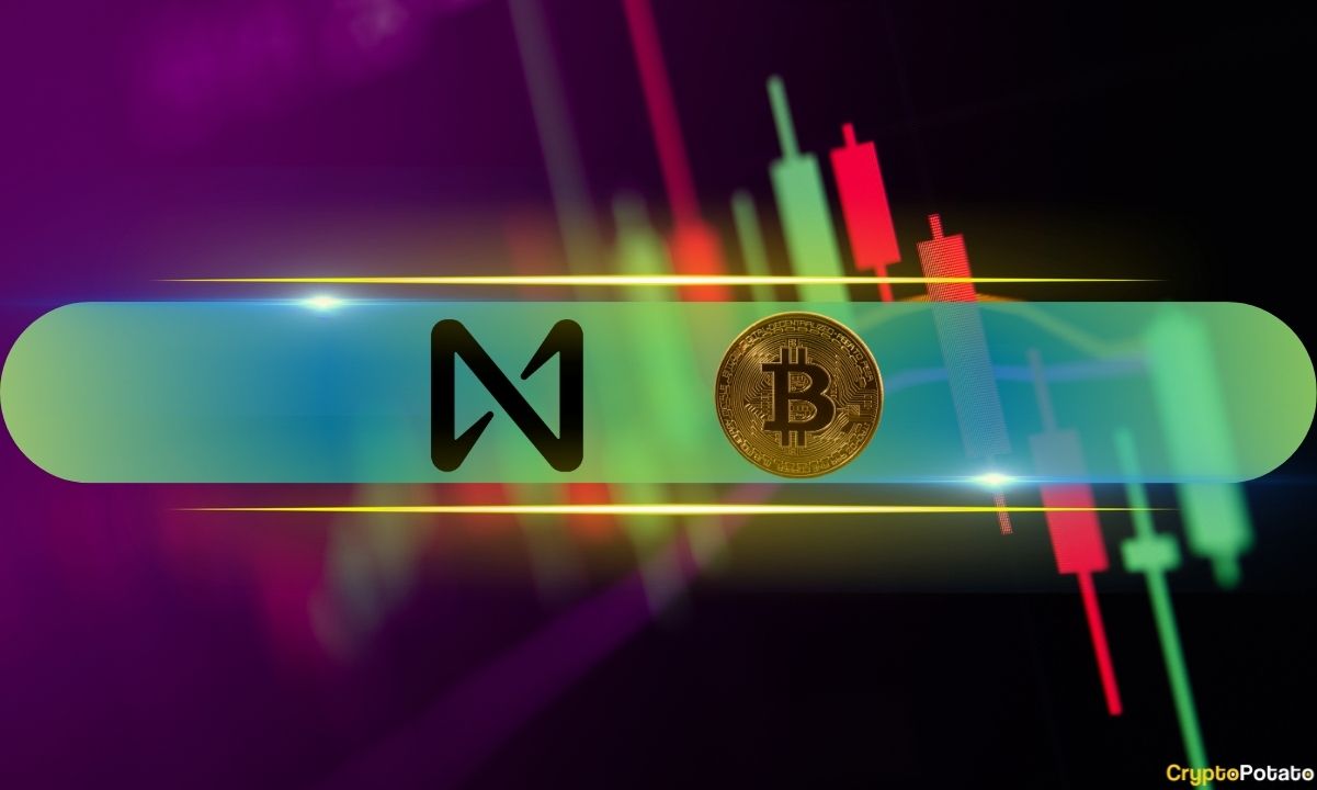 NEAR Rockets by 10% Daily, BTC Price Eyes $83K: Weekend Watch