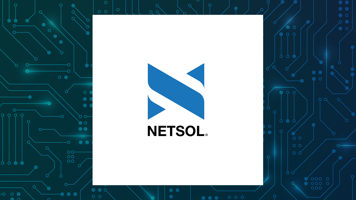 NetSol Technologies (NASDAQ:NTWK) and Global Interactive Technologies (NASDAQ:GITS) Financial Review