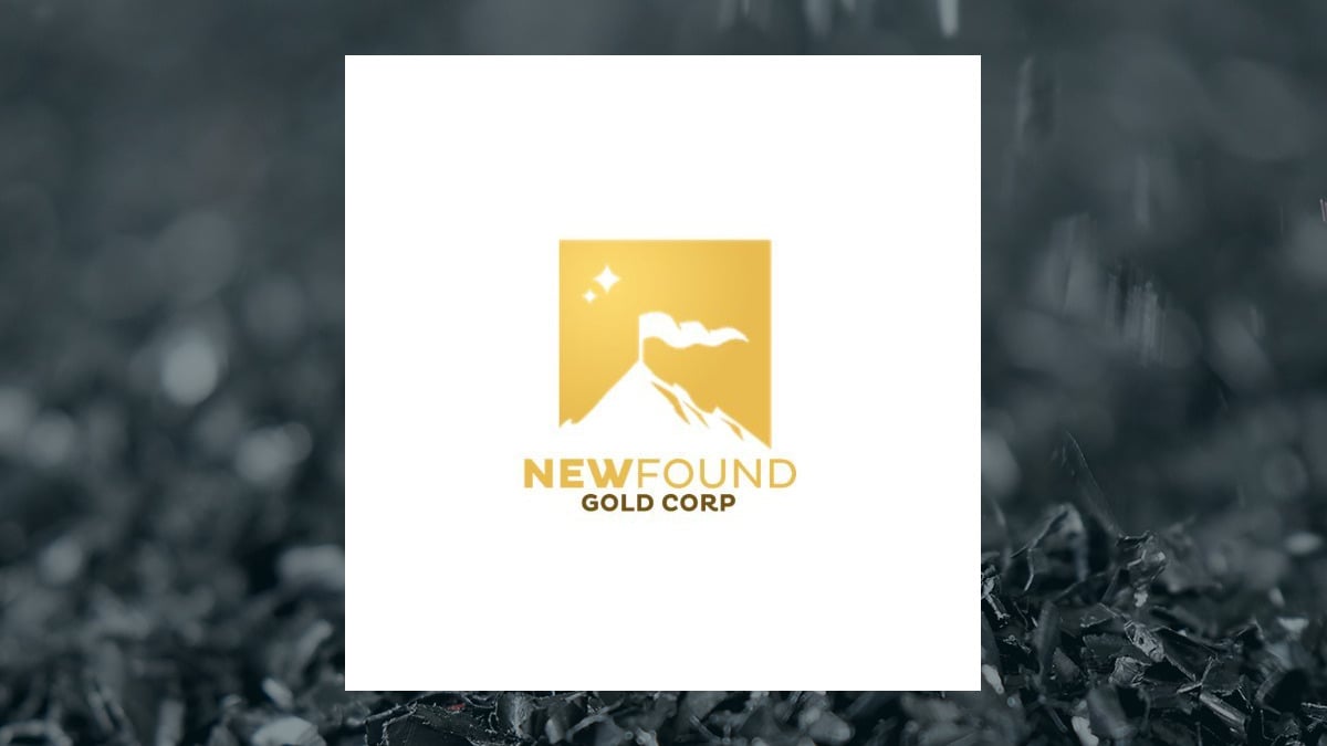New Found Gold (NYSE:NFGC) Reaches New 12-Month High  – Here’s What Happened