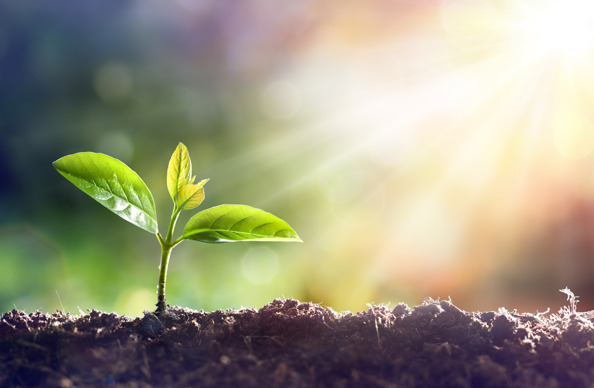 New to Growth Stocks? Here's 1 Every Investor Should Have on Their Radar.