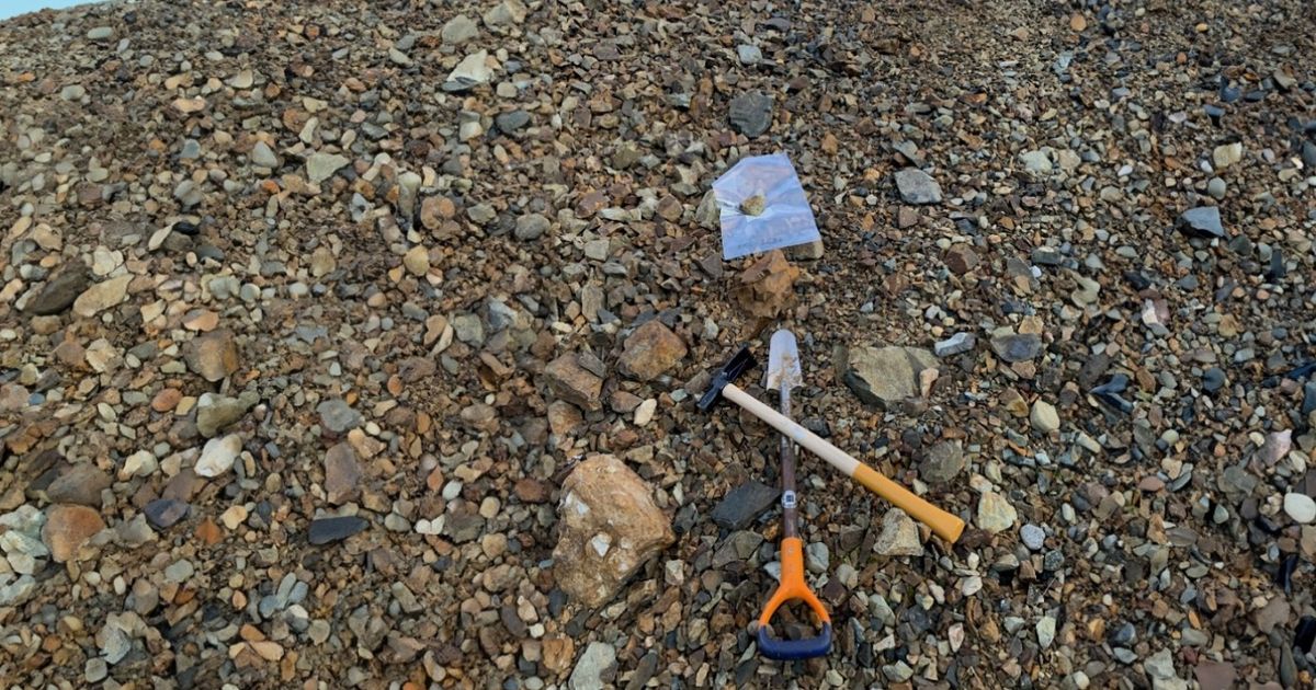 North Bay Resources reports strong gold assays from Fran Gold Project in BC
