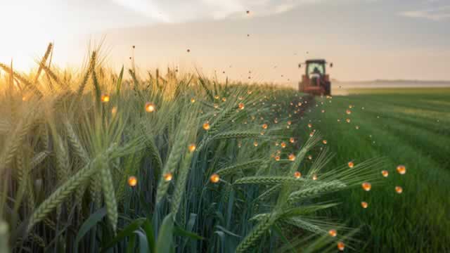 Nutrien Stock Rallies 40% YTD: What's Behind the Upside?