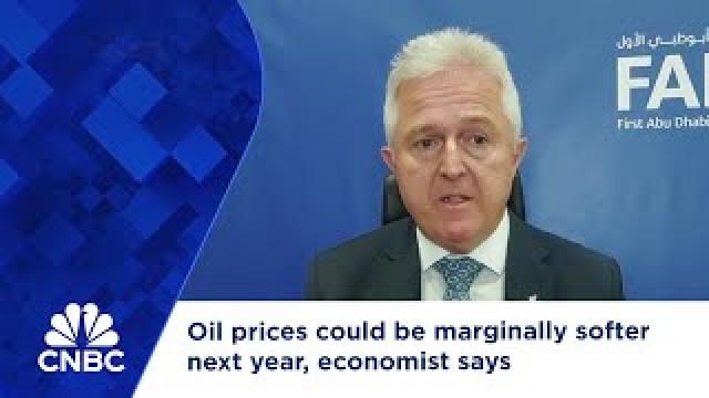 Oil prices could be marginally softer next year, economist says