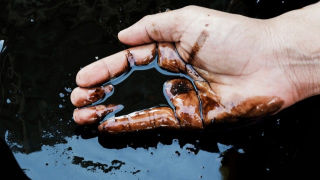 Oil prices rise despite warnings of a "major surplus" this decade