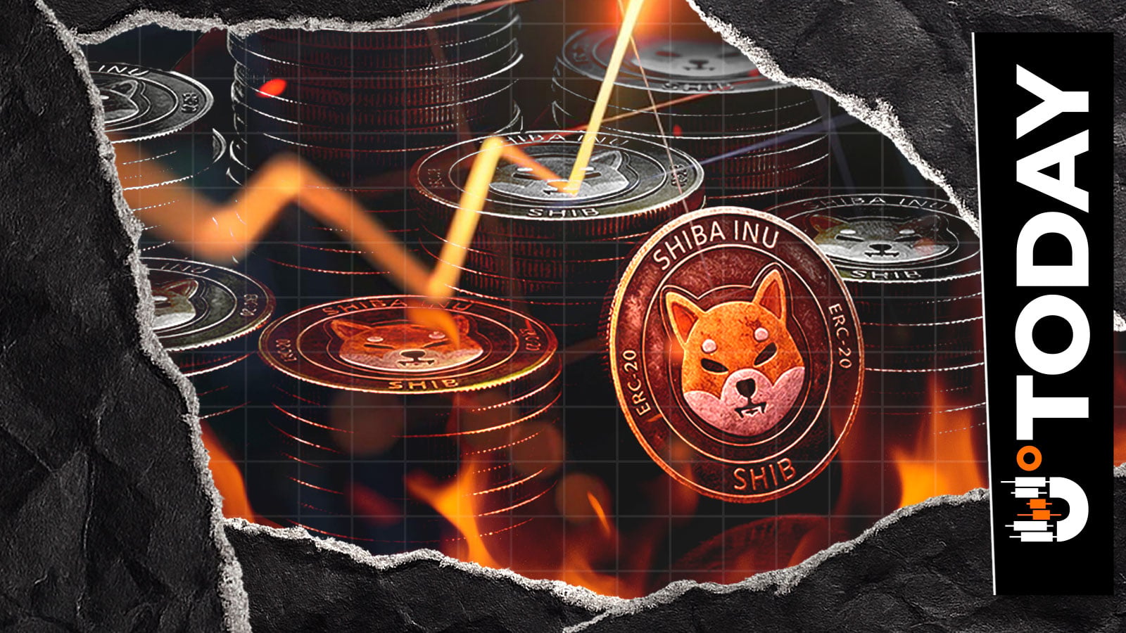 Only $4 in SHIB Burned: What's Behind 72% Drop?