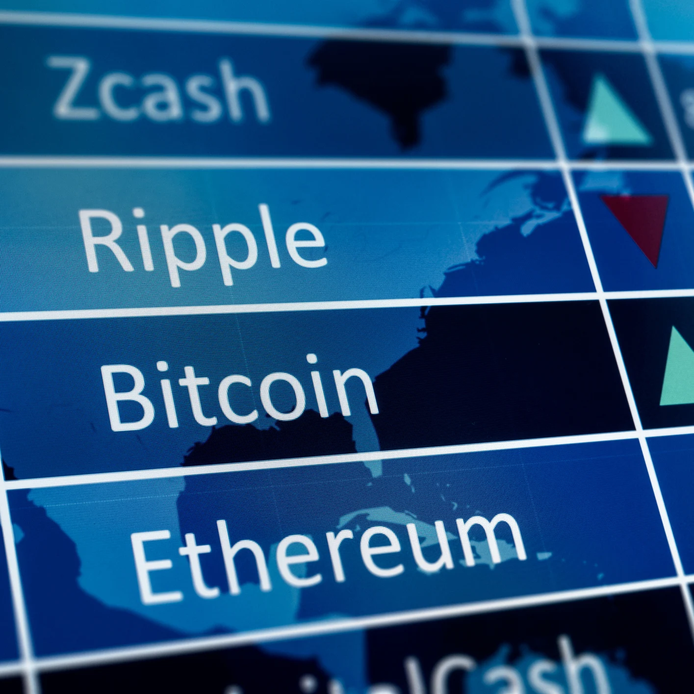 Only Five Coins Have Gained Over the Past Year: What Do They Have in Common While Bitcoin, Ethereum, and XRP Have Plummeted?