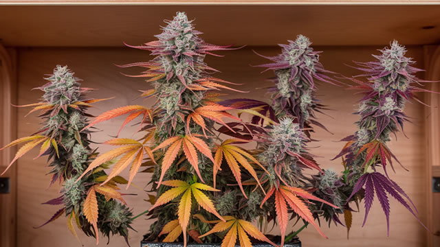 Foto von OrganiGram (OGI) Reports Q2 Loss, Beats Revenue Estimates (Revised)