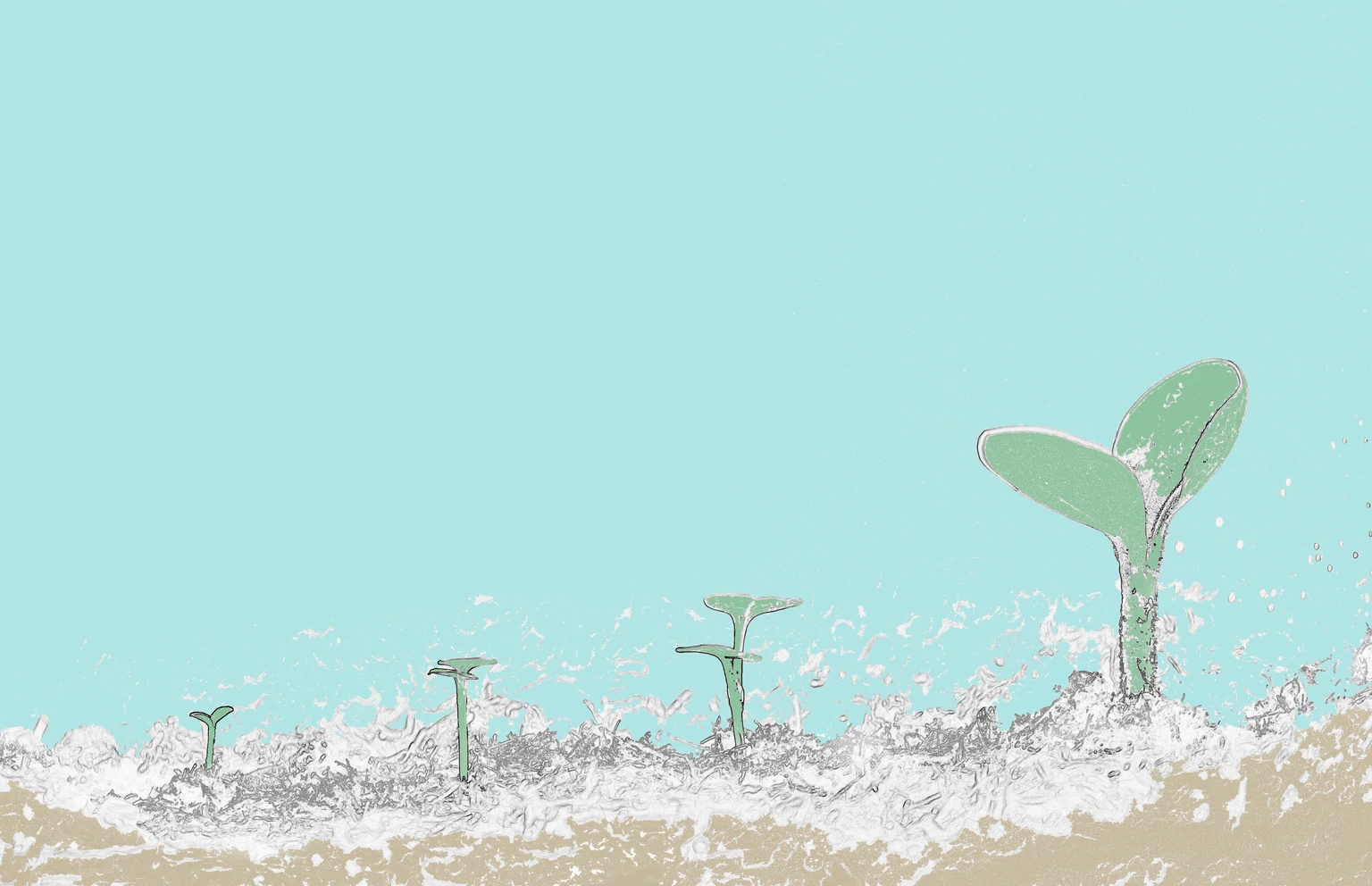 PayPal Might Prove Us Wrong Into Year End