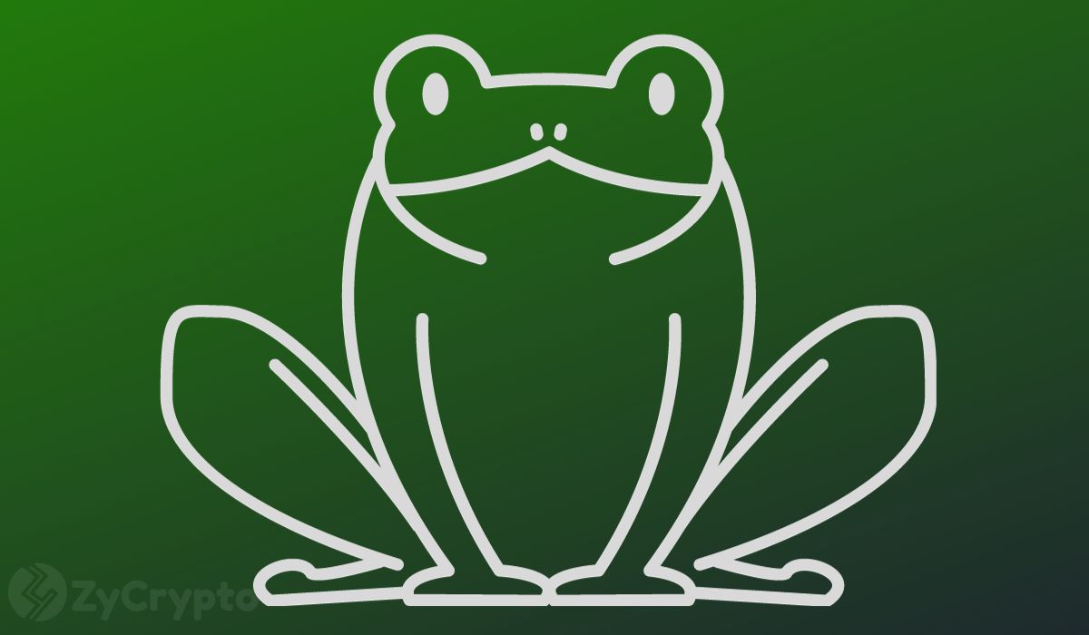 PEPE Goes To Wall Street As Canary Capital Seeks SEC Approval for Spot ETF