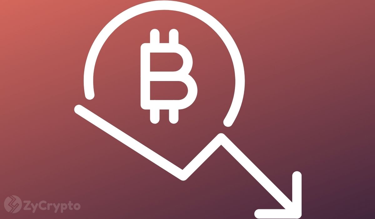 PEPE Millionaire James Wynn Liquidated on Bitcoin Shorts, $100 Million Portfolio Reduced to $900