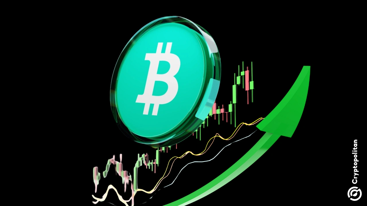 Article image for Peter Brandt says bitcoin cash could lead the next crypto rally in 2026