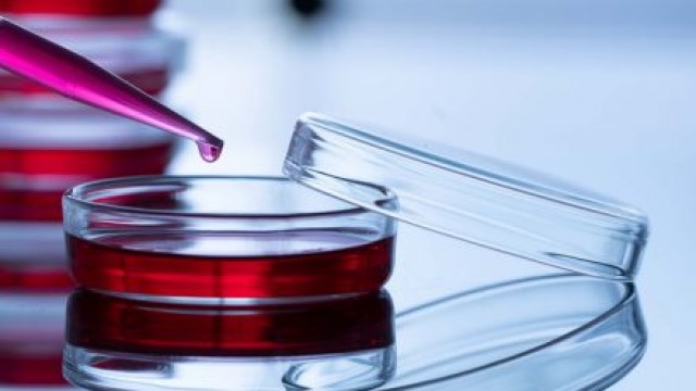 https://images.financialmodelingprep.com/news/pfizer-biohaven-acquisition-sparks-hope-of-more-biotech-ma-20220512.jpg