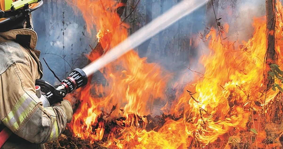 PG&E shares plunge as California wildfire bill falls short of protections sought