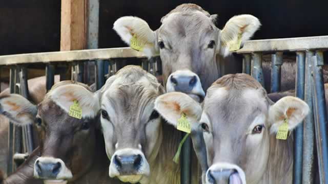 Phibro Animal Health Stock Up 152.3% in a Year: What's Driving It?