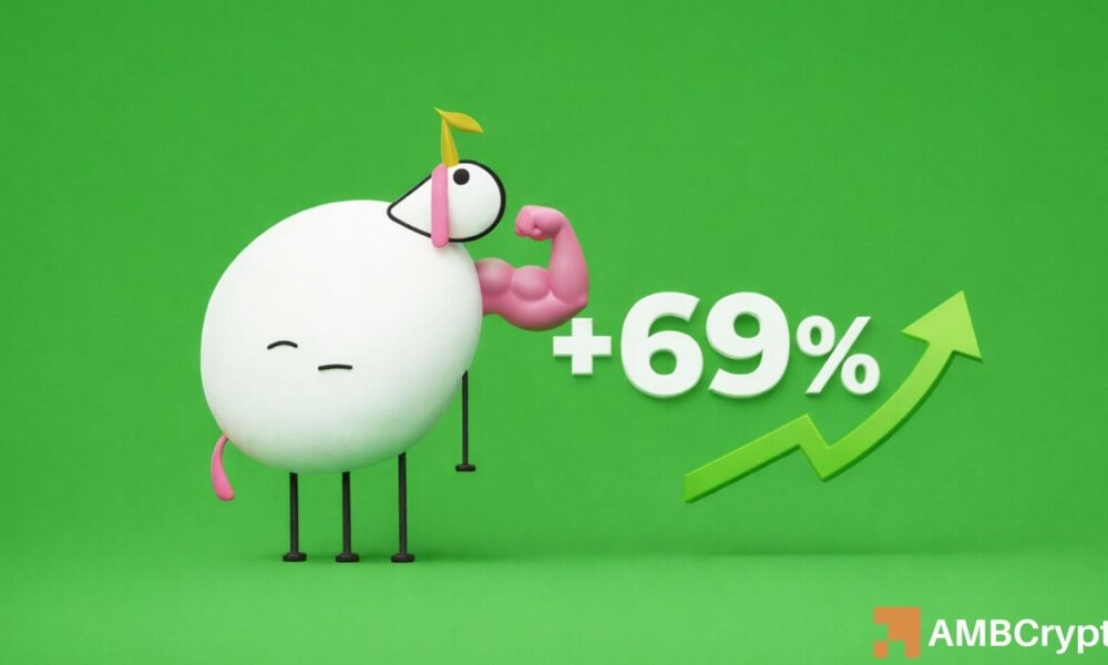 PIPPIN leads memecoins with 69% surge – Traders now eye THESE levels