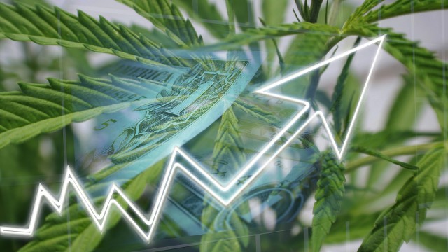 Planet 13 Is A Very Cheap Cannabis Stock