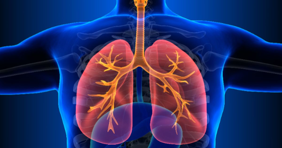 Polarean boost as analyst repeats 'buy' rating and 4p price target