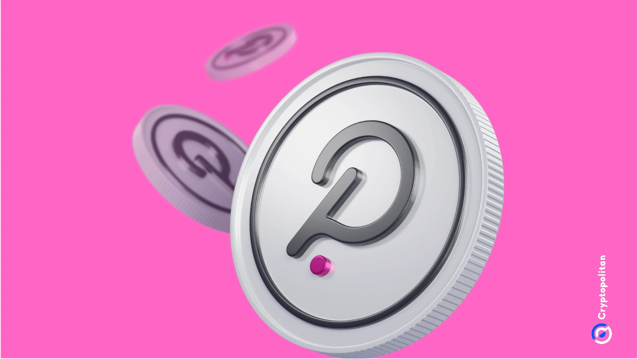 Polkadot jumps 27% ahead of first token issuance halving