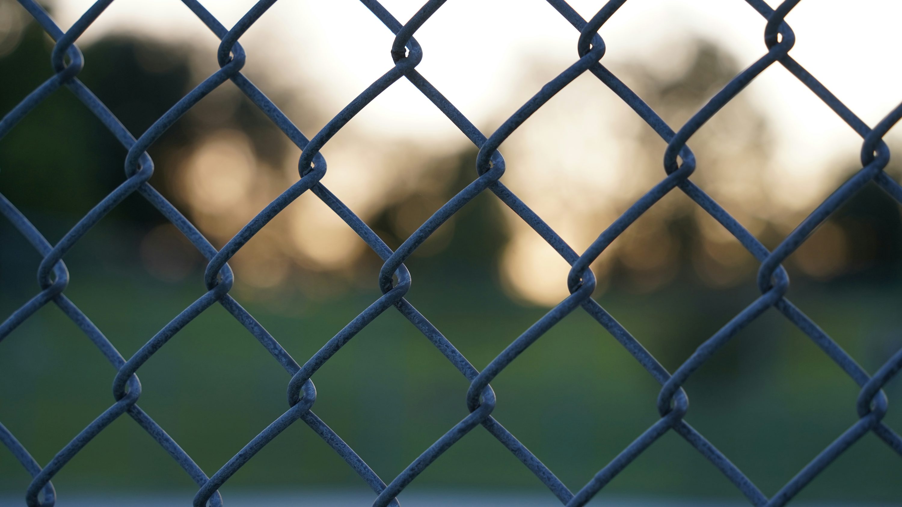 Polymarket Sees Record $153M Daily Volume After Chainlink Integration