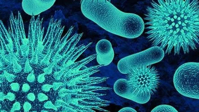 Foto von Puma Biotech (PBYI) Upgraded to Strong Buy: Here's What You Should Know