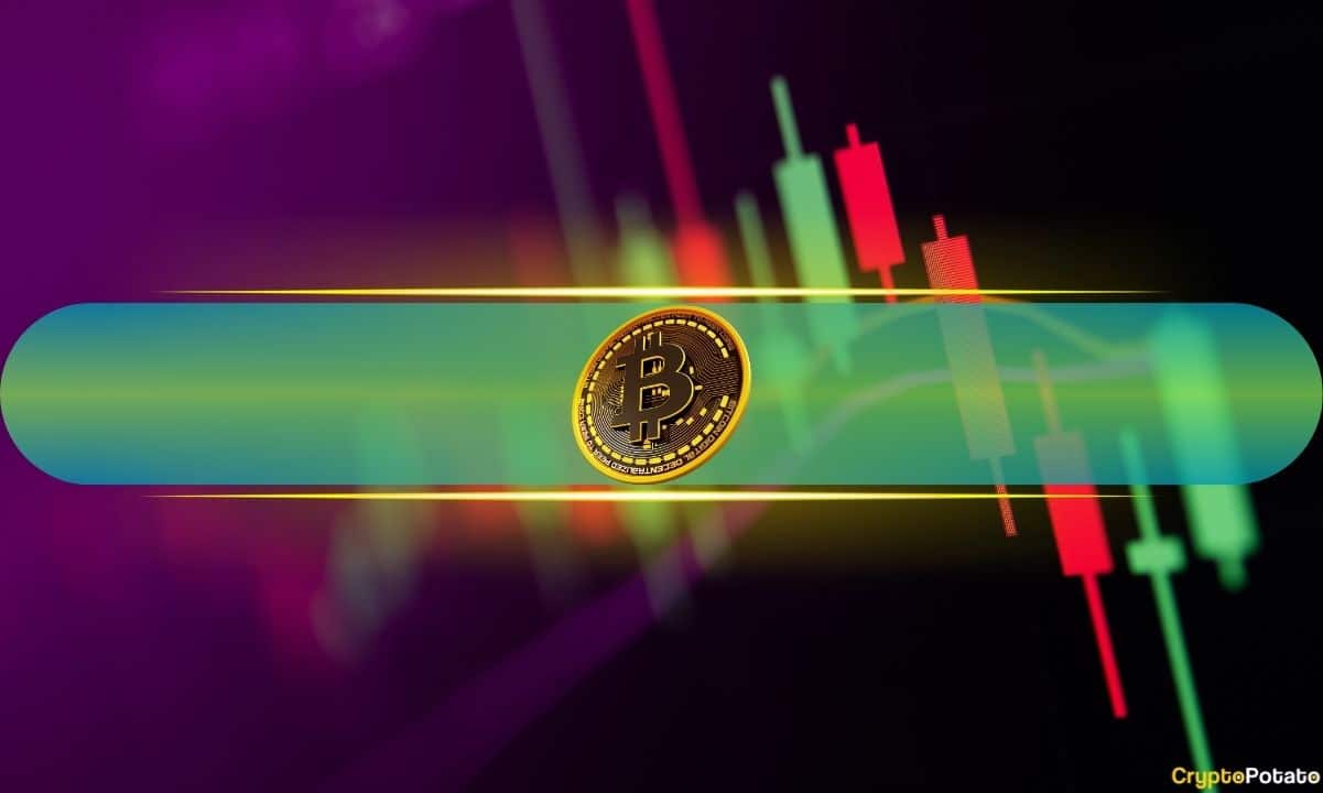 PUMP Soars 16% in 24 Hours, Bitcoin Reclaims $85K: Weekend Watch