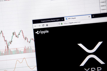 Pundit Says There Isn't Much Time Left To Buy XRP For Cheap, Here's Why