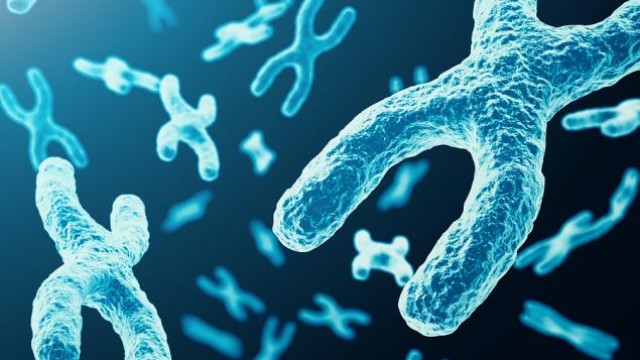 QIAGEN's (QGEN) New Launch Expands US Syndromic Testing Menu