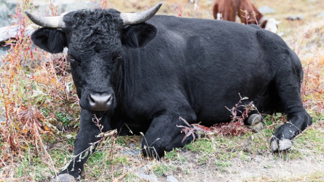 Quiet Day Ahead of Fed, Inflation This Week