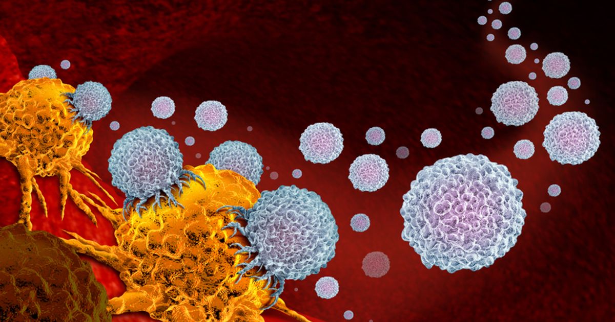 Race Oncology makes significant quarterly progress in Phase 1 RC220 trial