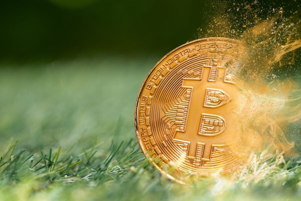 Raoul Pal Says 'Young, Volatile' Bitcoin Is Tracking Global Liquidity: 'Nothing Is Broken'